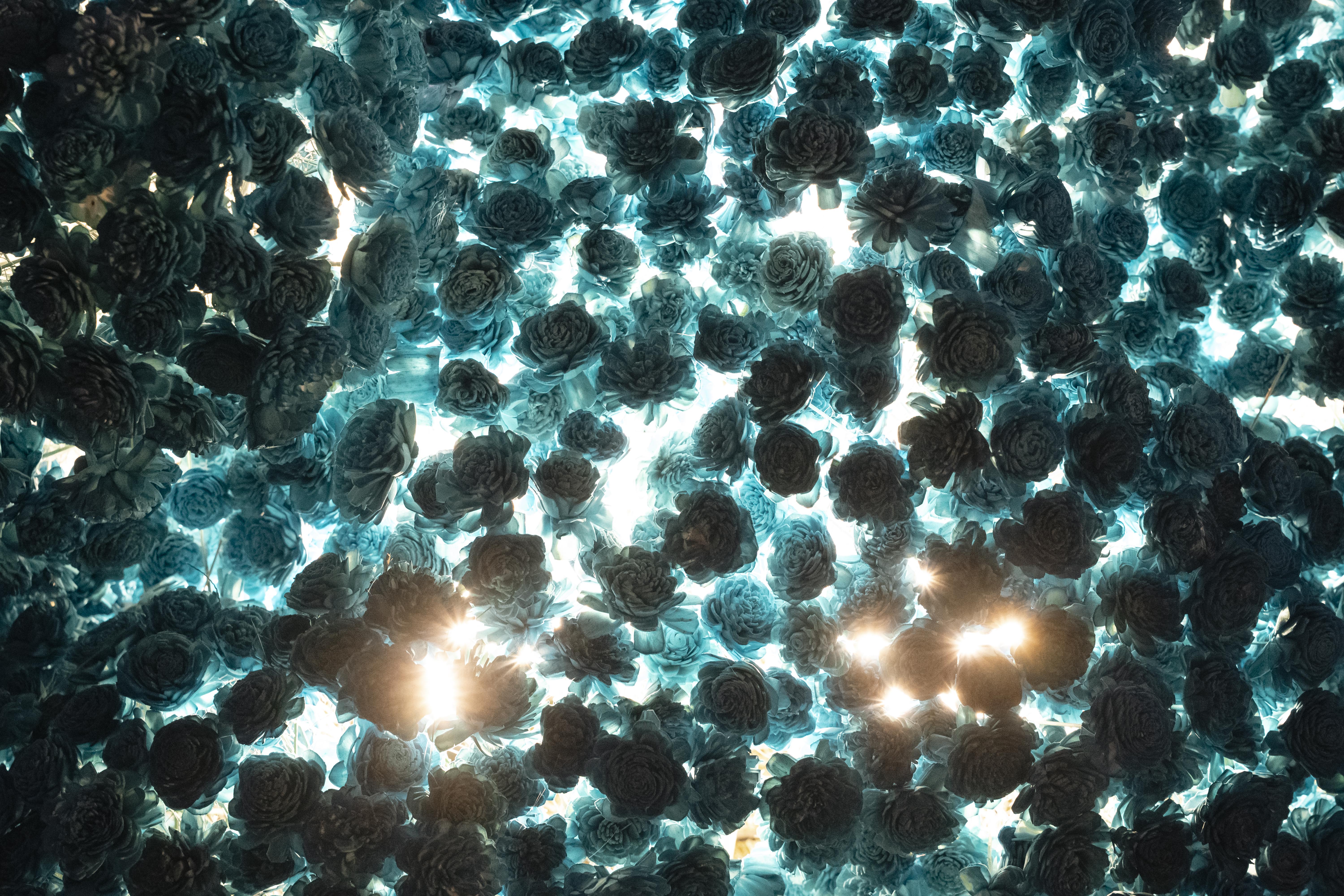 ANK — selected image 11