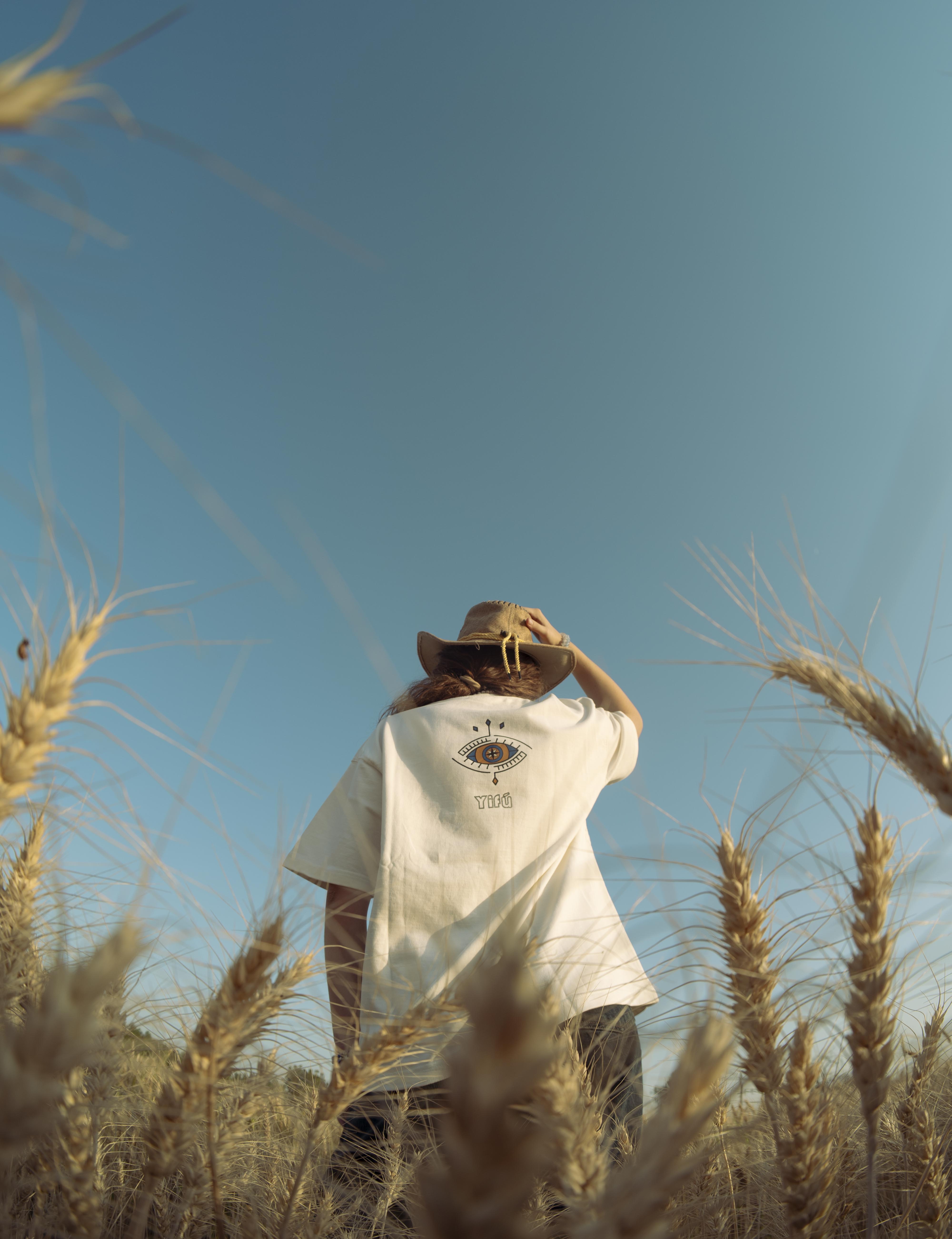 Yifu — selected image 5