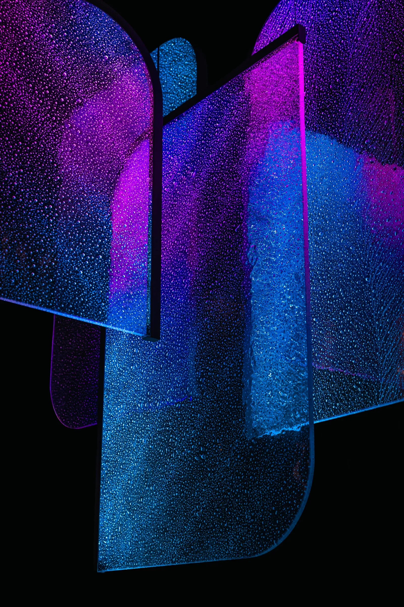 Culture Cove — selected image 5