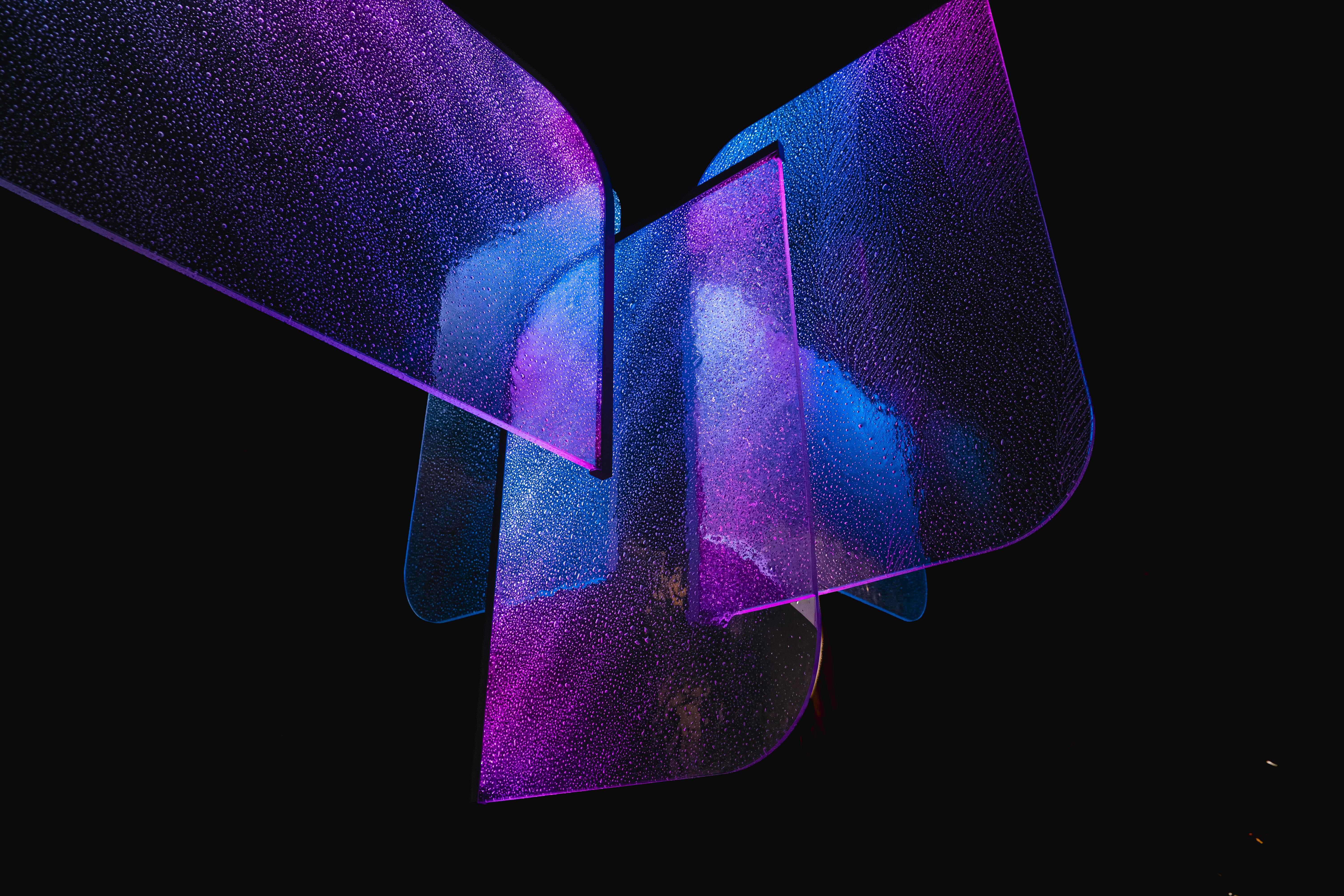 Culture Cove — selected image 4