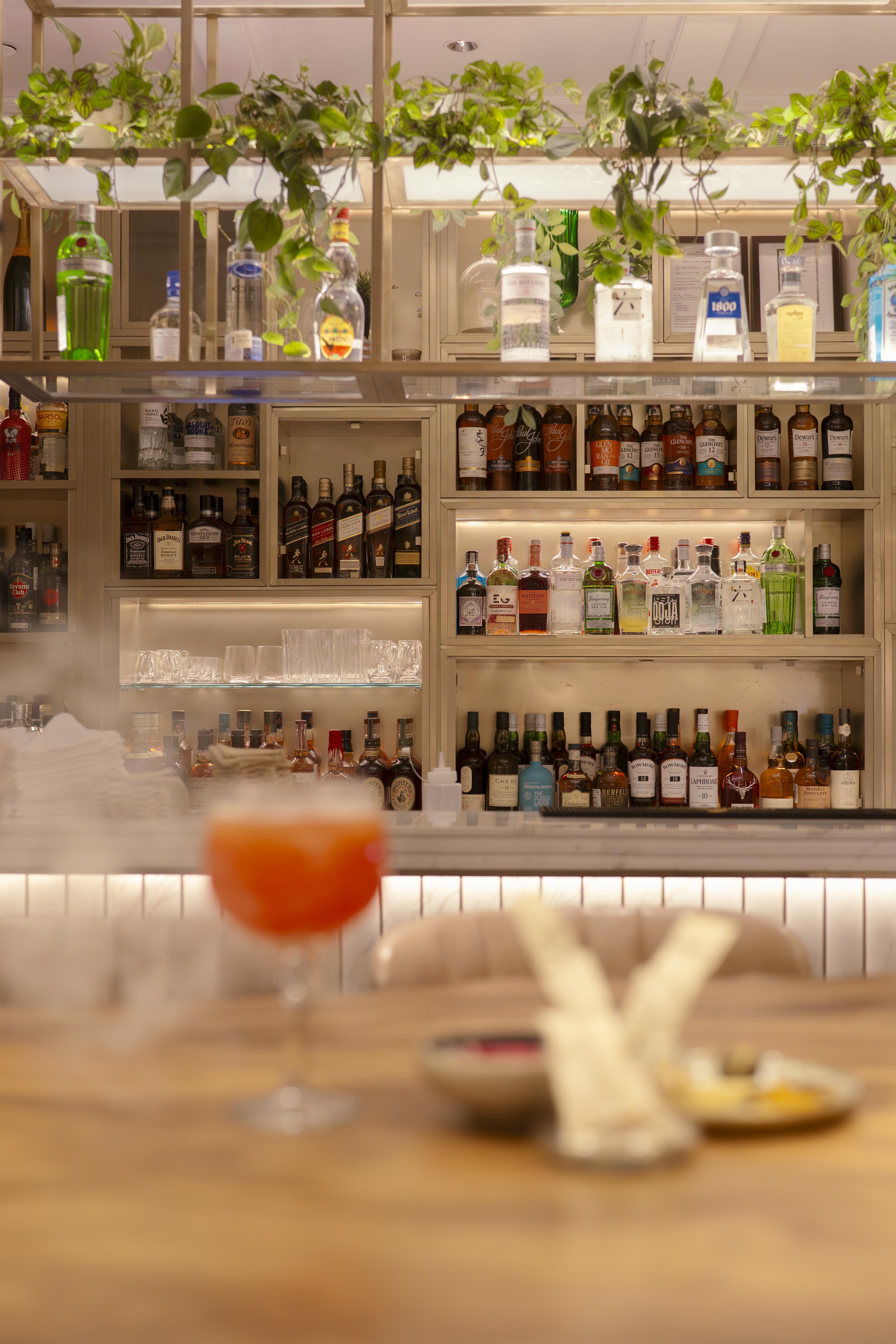 Oberoi — selected image 2
