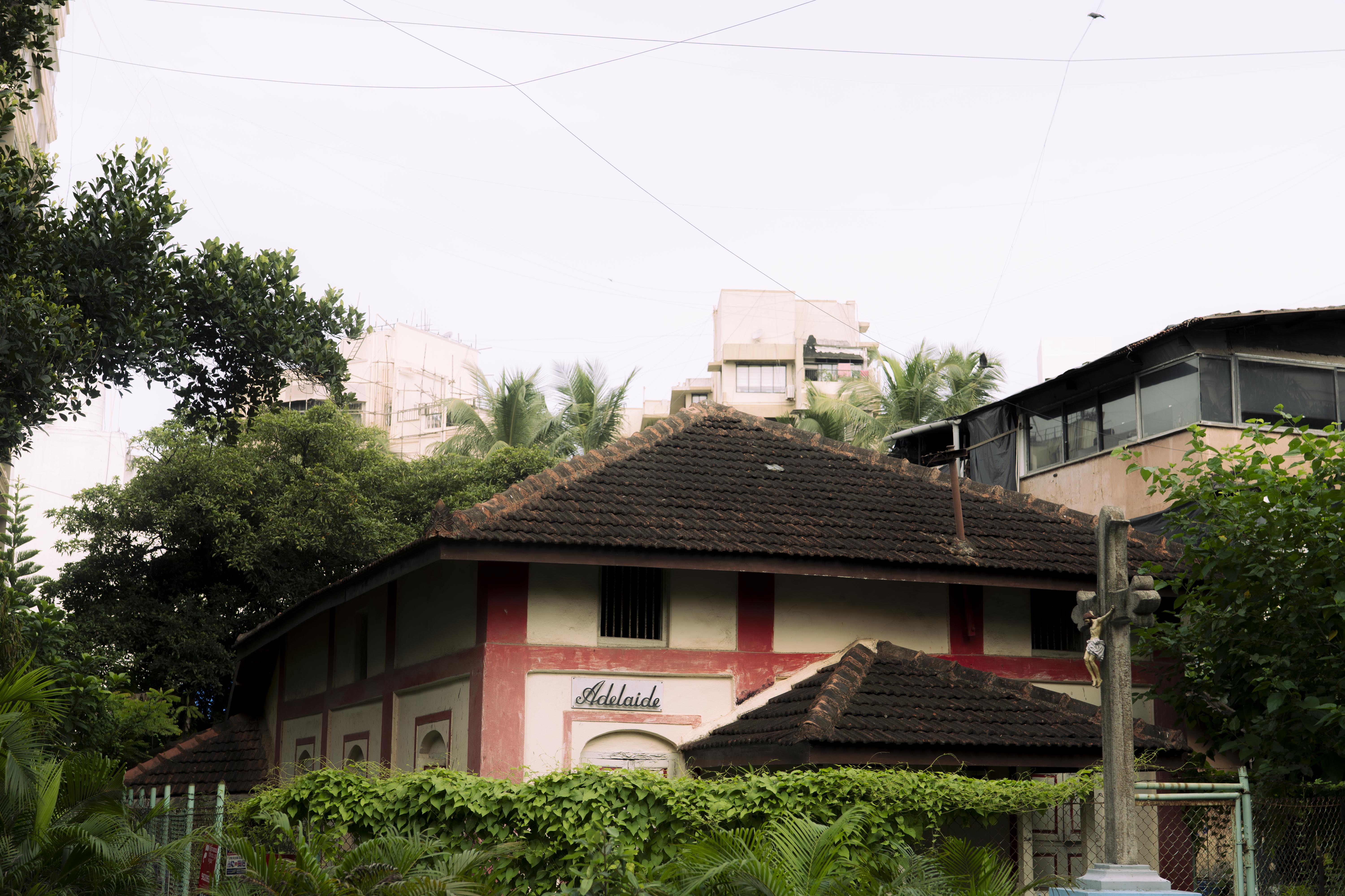 Ekta Badhana — selected image 1